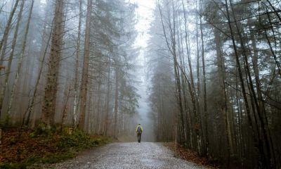 The Effects of Psychological Trauma on the Body