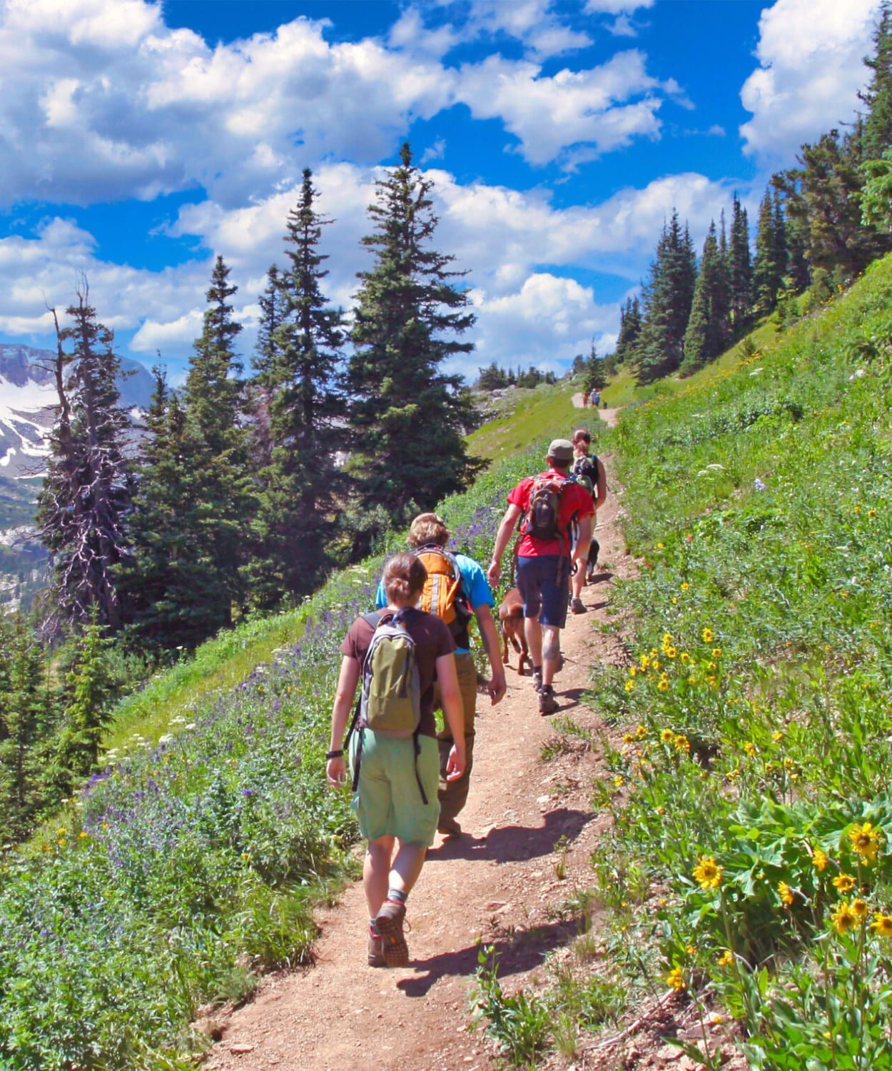 Group of individuals hiking during sober living for men in Boulder, CO.