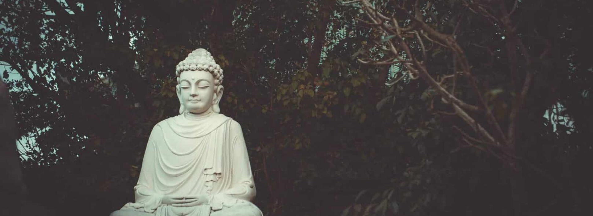 Recovery Dharma: Buddhist Approach to Addiction Recovery