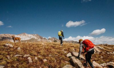 What to Expect From Addiction Rehab Week to Week