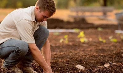 The Importance of Being of Service in Addiction Recovery