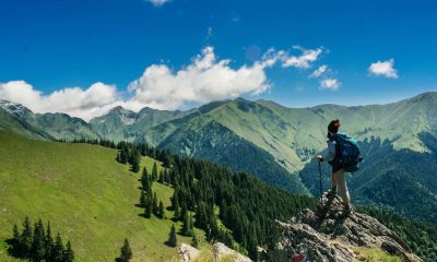5 Reasons Nature can be Vital for Recovery