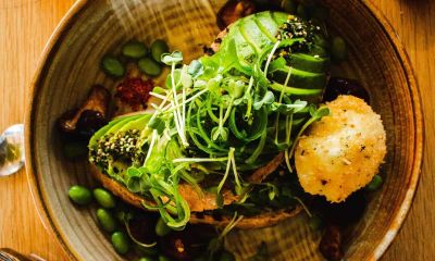 Addiction Nutrition 101: The Best Foods to Support Your Recovery